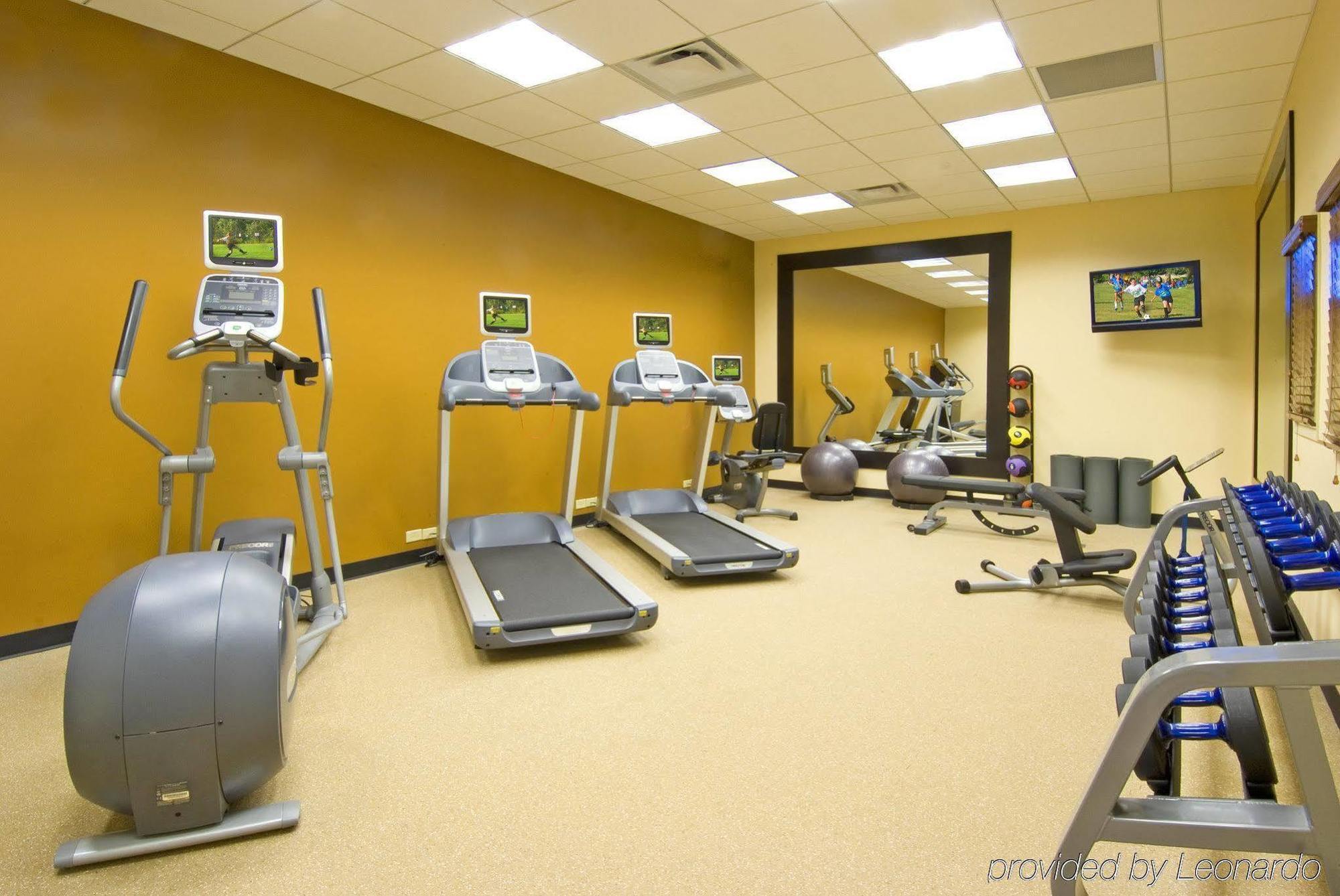 Hilton Garden Inn Tampa Airport/Westshore מראה חיצוני תמונה